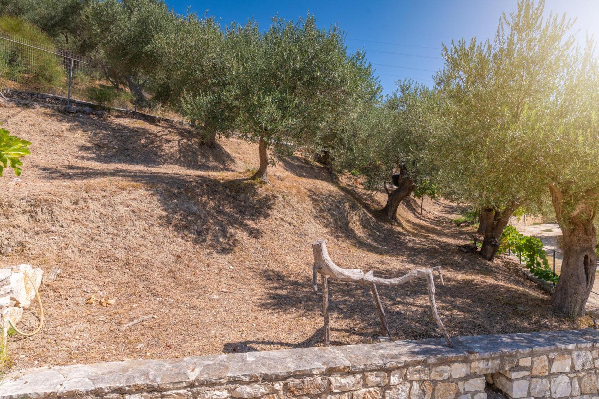 فيلا Liodentro - Olea بلاتاريا المظهر الخارجي الصورة
