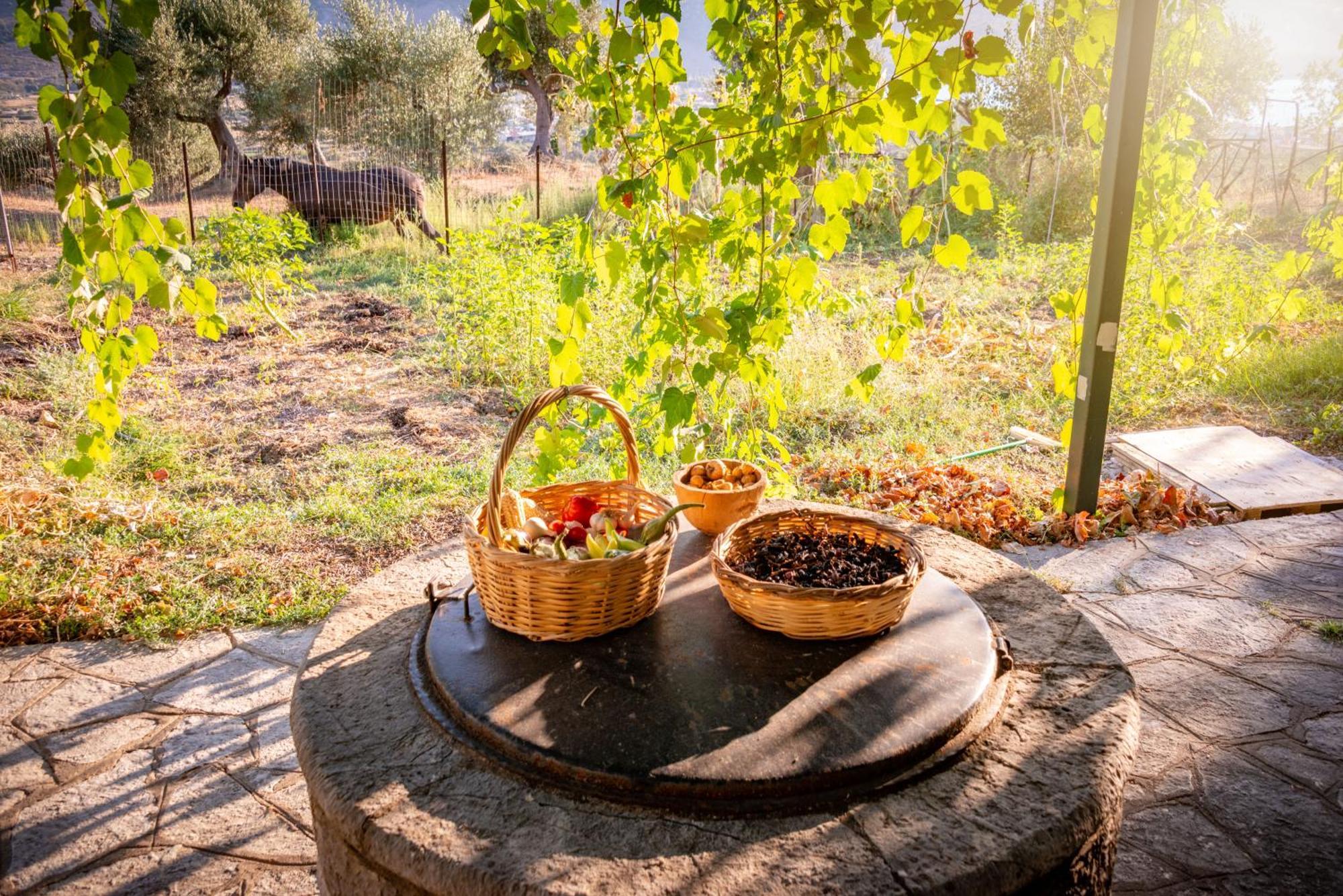 فيلا Liodentro - Olea بلاتاريا المظهر الخارجي الصورة